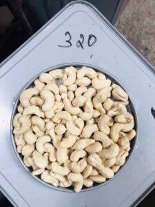Read more about the article CASHEW NUT WW240