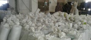 Read more about the article Pine Nut Kernels